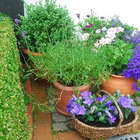 Angelika דירה Hüde